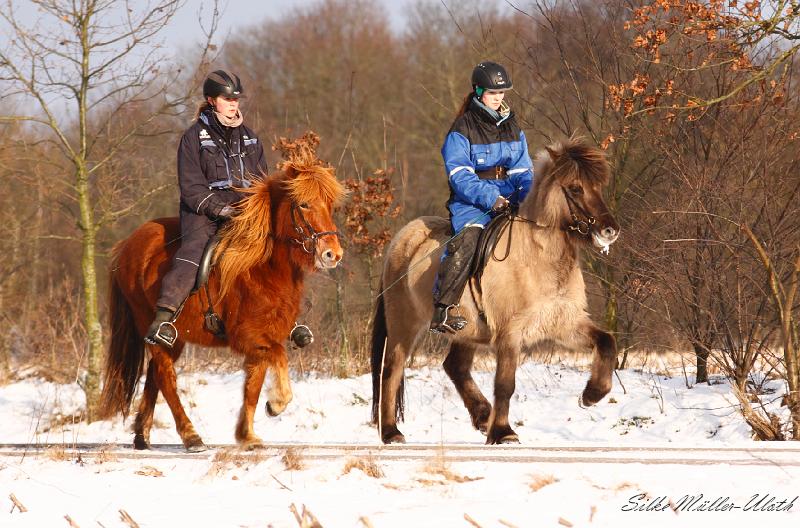 Draumey und Bjalla a.jpg - Ninja auf Draumey und Anna auf Bjalla geniessen die Wintersonne